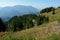 Mountains, meadow, trees and road in Alps in Germany