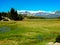 Mountains, Meadows, Pines and Sky