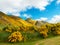 Mountains of New Zealand