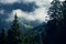 Mountains overgrown with coniferous forest with fog.