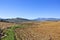 Mountains plow soil and olive groves