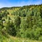 Mountains of the Pyrenees, forest and flowery meadow. Summer, Andorra