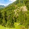 Mountains of the Pyrenees, forest and meadow. Summer, Andorra