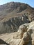 Mountains of Qumran