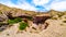 Mountains and Ravines in El Dorado Canyon at the Lake Mead National Park, USA