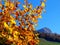Mountains relief under the blue sky with autumn vegetation.