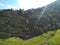 Mountains roads and agriculture with with mustard crop  in the Himalayan region of uttarakhand in Inda