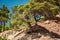 Mountains, rocks, large stones and trees in the area of Balaklava, Sevastopol and Admiralty Beach