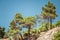 Mountains, rocks, large stones and trees in the area of Balaklava, Sevastopol and Admiralty Beach