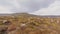 Mountains with rocks and peatland  in Wicklow