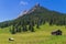 Mountains Rural Scenery. Austria, Alps, near Walderalm