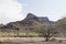 Mountains and Saguaro Cacti plants in the Arizona desert