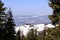 Mountains seen between pine trees in winter