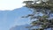 Mountains in the snow. Day. Mountain landscape. India, Tibet, Himalayas