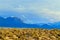 mountains snow desert cactus yucca