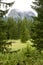 Mountains and spruces near Black Lake in Montenegro