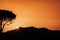 Mountains and tree silhouettes on a beautiful sunset with orange sky and sun going above the mountain