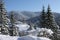 Mountains and trees covered in snow