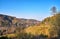 Mountains with trees in the Harz under a blue sky