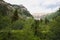 Mountains and Trees of Northern Utah