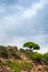 Mountains and trees. Tossa De Mar, Catalonia, Spain. Picturesque coast of Costa Brava.