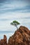 Mountains and trees. Tossa De Mar, Catalonia, Spain. Picturesque coast of Costa Brava.