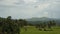 Mountains with tropical forest. Philippines Bohol island.