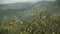 Mountains with tropical forest. Philippines Cebu island.