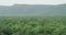 Mountains tropical vegetation amazing landscapes misty background huge big mountain background