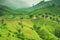 Mountains valley Natural greenery hill in spring background