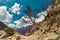 Mountains view with tree in Himalaya