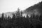 Mountains - Zakopane in the winter - monochrome