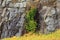 Mountainside with colorful Fall foliage