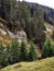 Mountainside with conifers and grasses