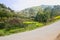 Mountainside countryroad in flowering sunny spring