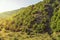 Mountainside covered with green forest