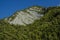 Mountainside covered with trees