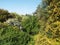 Mountainside with dense vegetation