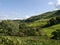 Mountainside fields near Glenridding, Lake District