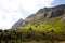 Mountainside with trees and grass with a cloudy sky