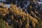 Mountan view with orange larches trees foliage in Val Masino, Italy