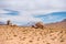 Mountanious Bolivian desert