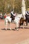 A Mounted London Police Officer