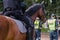 Mounted police horse and policeman public event