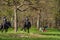 Mounted Police patrol public parks to enforce the coronavirus physical-distancing laws in Mount Royal Park