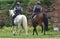 Mounted police on two horses at Hoehenpark Killesberg in Stuttgart