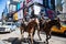 Mounted policemen on Times Square