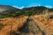 Mountian view from rural road travel track summer evening sunlight