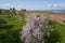 Mourao castle towers and wall historic building with interior garden with alqueva dam reservoir in Alentejo, Portugal