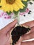 A mourning butterfly on a woman`s hand. Spread her wings. Close-up